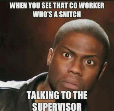 d19214fffd0a0f9cf142536d3b83fc3f--work-funnies-work-humor.jpg