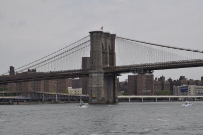 _DSC4550.JPG