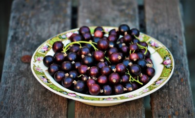 blackcurrants.jpg