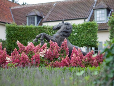 Hydrangea7.jpg