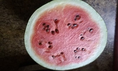 20170722_093050.jpg