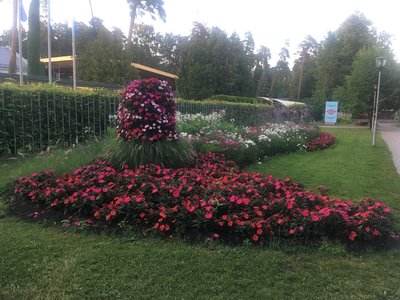 IMG_5982.JPG