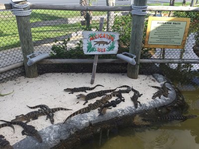 IMG_2493.JPG