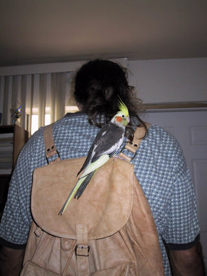 IMG_0033.jpg