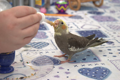 CRW_5386.jpg