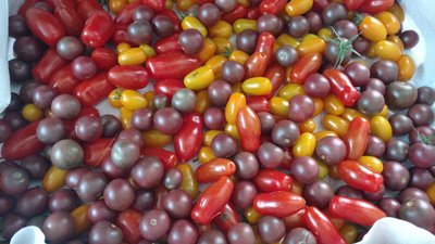 IMG_20170818_101015423.jpg