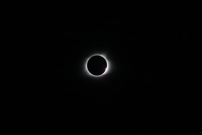 IMG_6337.JPG