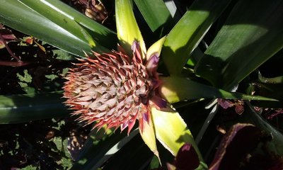 20170823_165239.jpg
