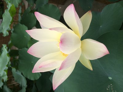 IMG_5653.JPG