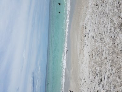 20170824_152341.jpg