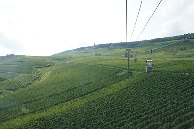 DSC01238.JPG