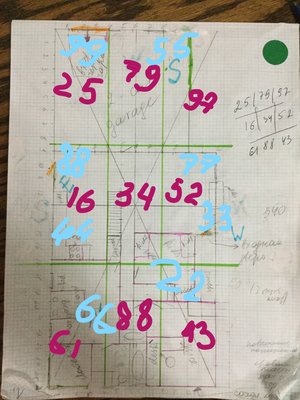 Inkedzvezdi 2_LI.jpg