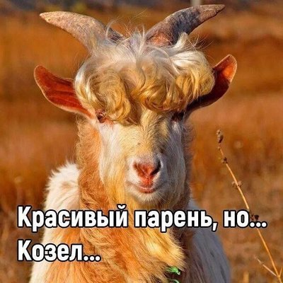 image-1.jpeg