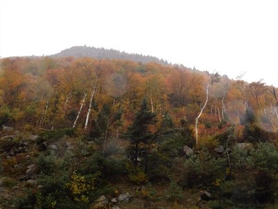 DSCF6986 (2).JPG