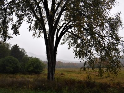 DSCF6991 (2).JPG