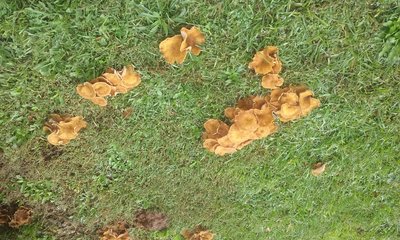 20171010_114803.jpg