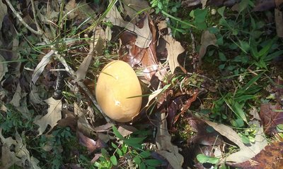 20171010_131326.jpg
