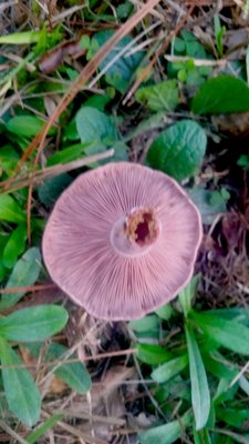 20171015_190143.jpg