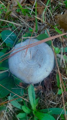 20171015_190127.jpg