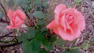 20171015_191227.jpg