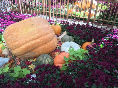 IMG_0176.JPG
