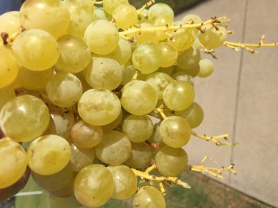 IMG_1422.JPG