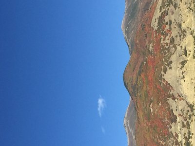 IMG_1454.JPG