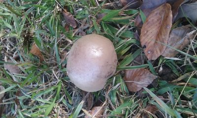 20171023_162022.jpg