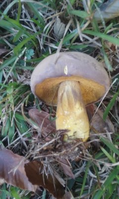 20171023_162150.jpg