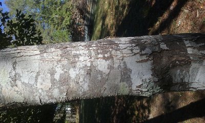 20171025_152233.jpg