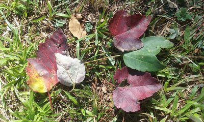 20171025_152206.jpg