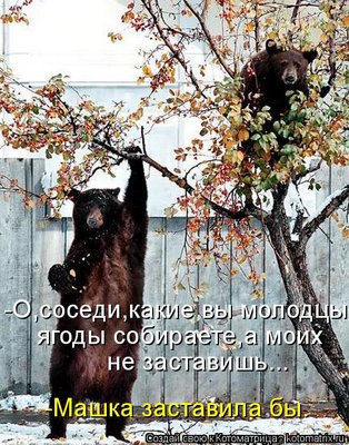 kotomatritsa_Q.jpg