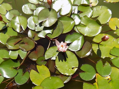DSCN4403.JPG