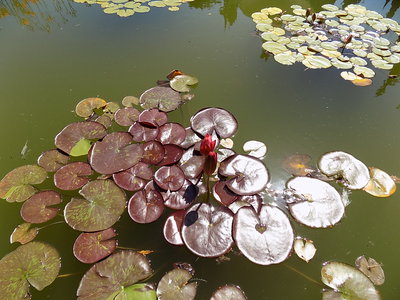 DSCN4405.JPG