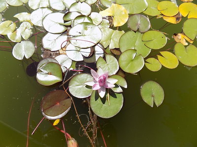 DSCN4406.JPG