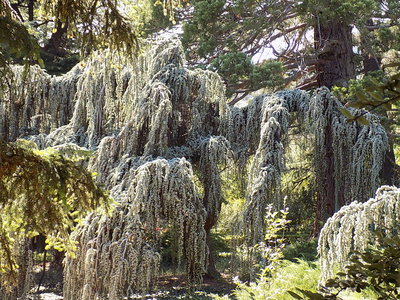 DSCN4408.JPG