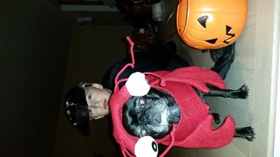20171031_185819.jpg