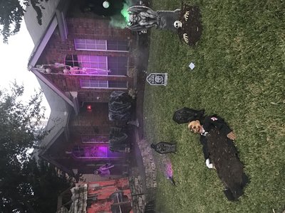 IMG_0566.JPG