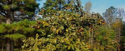 20171101_094344.jpg