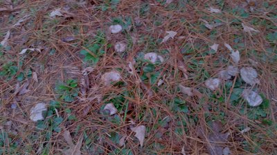 20171108_134407.jpg