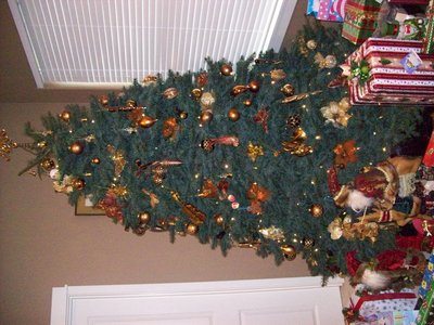 Xtree OR.JPG