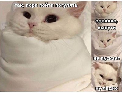 Ta3Kl-Ar_MI.jpg