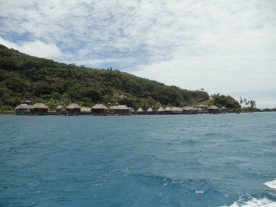 DSC00800.JPG