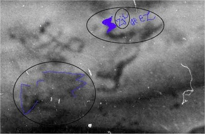 Tatu1.jpg