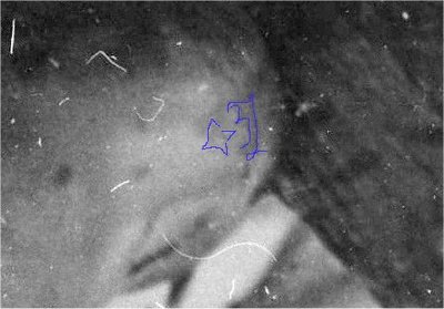 Tatu4.jpg
