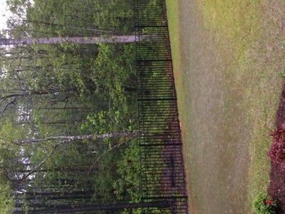 IMG_2991.JPG