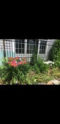 Screenshot_20180525-141801_Gallery.jpg