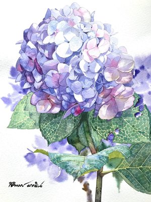 image-2.jpeg