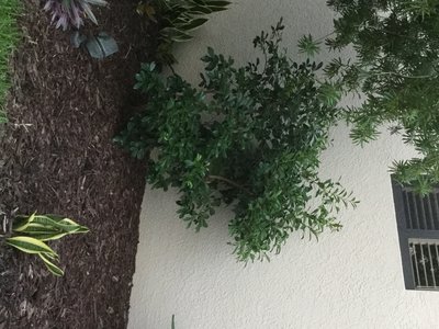 F0845C54-C67B-41F9-A827-20475B57F1E3.jpeg