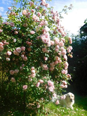DSCN0339.jpg